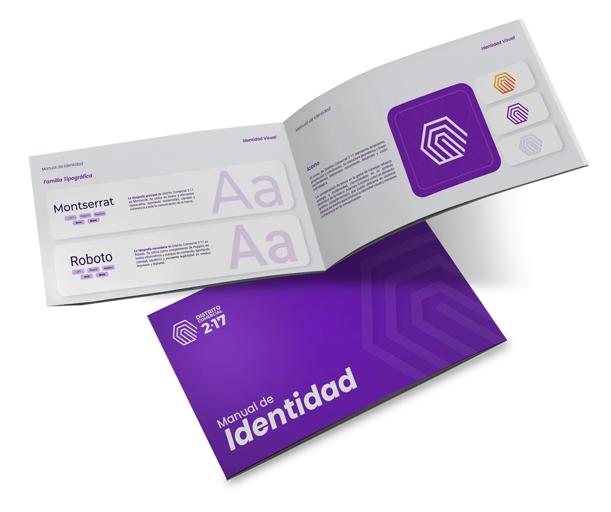 Brand Identity Manual Mockup